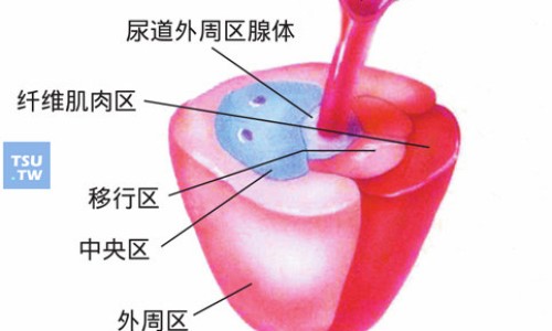 复方玄驹胶囊多少钱一盒-复方玄驹胶囊效果怎么样、复方玄驹胶囊效果怎么样 -复方玄驹胶囊主治什么病网