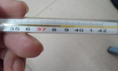 复方玄驹胶囊吃多久才有效果-复方玄驹胶囊效果怎么样、复方玄驹胶囊效果怎么样 -复方玄驹胶囊主治什么病网